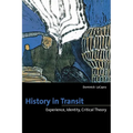 History in Transit: Experience, Identity, Critical Theory - Paperback