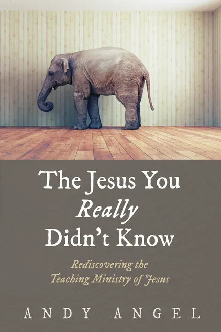The Jesus You Really Didn't Know: Rediscovering the Teaching Ministry of Jesus - Paperback