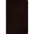 New Classic Reference Bible-ESV - Imitation Leather
