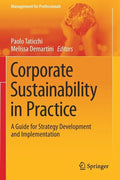 Corporate Sustainability in Practice: A Guide for Strategy Development and Implementation - Paperback