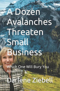 A Dozen Avalanches Threaten Small Business: Which One Will Bury You Alive? - Paperback