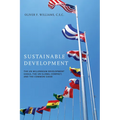 Sustainable Development: The UN Millennium Development Goals, the UN Global Compact, and the Common Good - Paperback