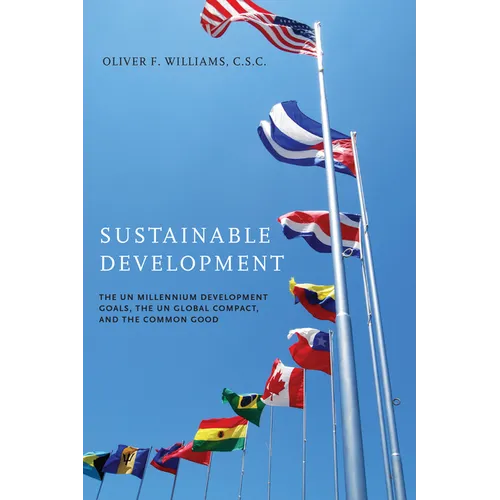 Sustainable Development: The UN Millennium Development Goals, the UN Global Compact, and the Common Good - Paperback