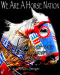 We Are A Horse Nation: The Making Of The Documentary Film And More - Paperback