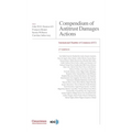Compendium of Antitrust Damages Actions - 2nd Edition: International Chamber of Commerce (ICC) - Hardcover