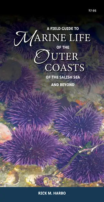 A Field Guide to Marine Life of the Outer Coasts of the Salish Sea and Beyond - Paperback