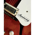 Harmony: The People's Guitar, 1945-1975 - Hardcover