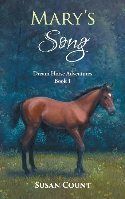 Mary's Song - Hardcover