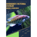 Nyerere's Victoria Cichlid: From Novice to Expert. Comprehensive Aquarium Fish Guide - Paperback