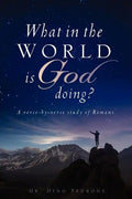 What in the World Is God Doing? - Paperback