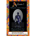 Adam! Where Are You?: Why Most Black Men Don't Go to Church - Paperback