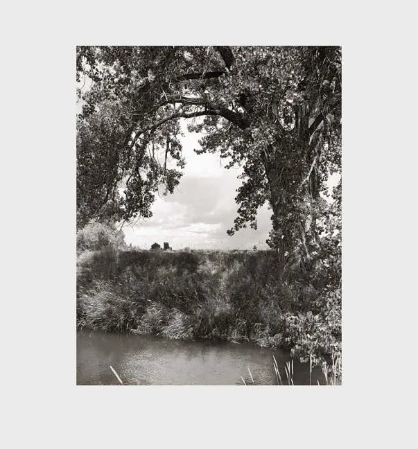 Robert Adams: Cottonwoods - Hardcover