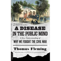 A Disease in the Public Mind: A New Understanding of Why We Fought the Civil War - Paperback