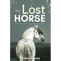The Lost Horse - Book 6 in the Connemara Horse Adventure Series for Kids - Paperback