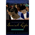 The Meanings of Social Life: A Cultural Sociology - Paperback