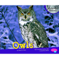 Owls - Paperback
