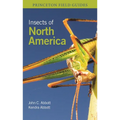 Insects of North America - Paperback