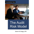 The Audit Risk Model - Paperback