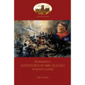 Wonderful Adventures of Mrs. Seacole in Many Lands: A Black Nurse in the Crimean War (Aziloth Books) - Paperback