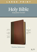 KJV Large Print Thinline Reference Bible, Filament Enabled Edition (Red Letter, Leatherlike, Brown/Mahogany) - Imitation Leather