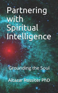 Partnering with Spiritual Intelligence: Grounding the Soul - Paperback