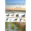 An Illustrated Guide to the Common Birds of Cape Cod - Paperback