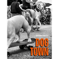 Dogtown: The Pups of Venice Beach and Their Humans - Hardcover