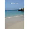 Silver Still - Paperback