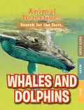 Whales & Dolphins - Paperback