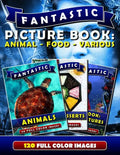 Fantastic Picture Book: Animal - Food - Various: Picture Book Gift for Adults & Seniors as well as Patients with Alzheimer's or Dementia. Deme - Paperback