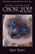 How Your Cat Chose You - Paperback