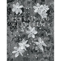Prevailing Westerlies: Fine Art Photographs - Paperback