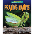 Praying Mantis - Library Binding