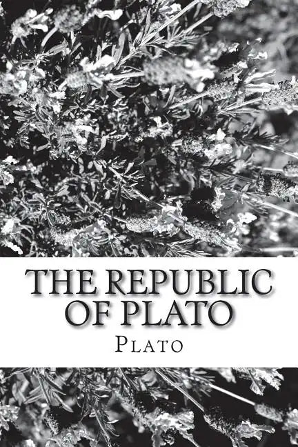 The Republic of Plato - Paperback