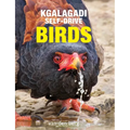 Kgalagadi Self-Drive Birds - Paperback