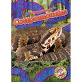 Cottonmouths - Library Binding
