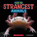 Strangest Animals (Wild World: Top 10) - Paperback