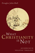 What Christianity Is Not: An Exercise in "Negative" Theology - Paperback