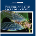 The Strange Life Cycle of a Cicada - Library Binding