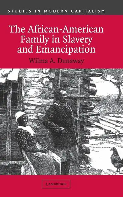 The African-American Family in Slavery and Emancipation - Hardcover