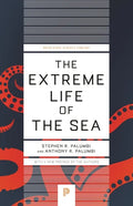 The Extreme Life of the Sea - Paperback