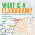 What is a Cladogram? Examining Evolutionary Relationships in Organisms Grade 6-8 Life Science - Paperback