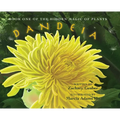 Book One of the Hidden Magic of Plants: Dandeia - Hardcover