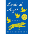 Birds at Night: Poems - Paperback