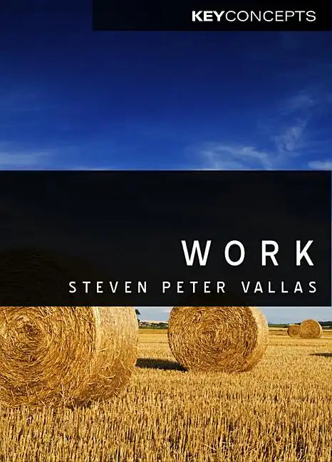 Work: A Critique - Paperback