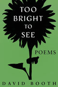 Too Bright to See - Paperback