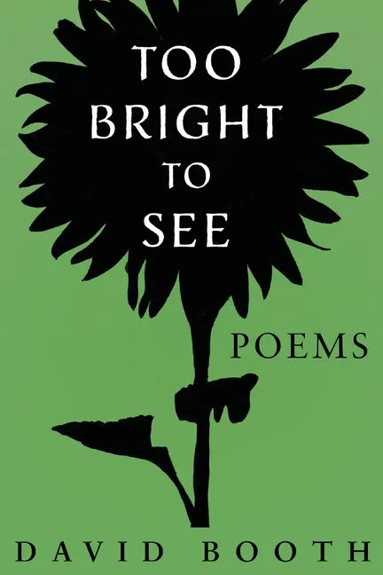 Too Bright to See - Paperback