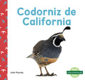 Codorniz de California (California Quails) - Library Binding