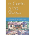 A Cabin in the Woods: A true story of one man's incredible struggle to follow a dream, a dream that is seemingly guided by a divine hand - Paperback