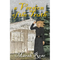A Version of the Truth - Paperback